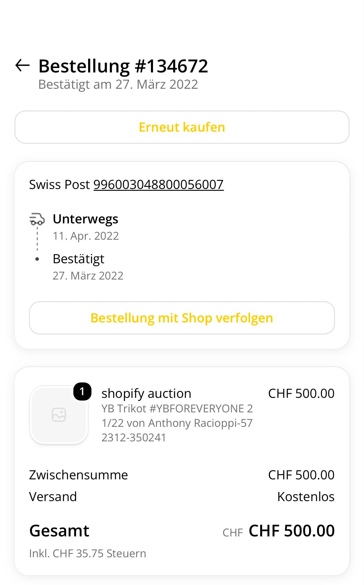 BSC Young Boys - 2021-22 - Matchworn - Torhüter - L - Nike - Racioppi #1