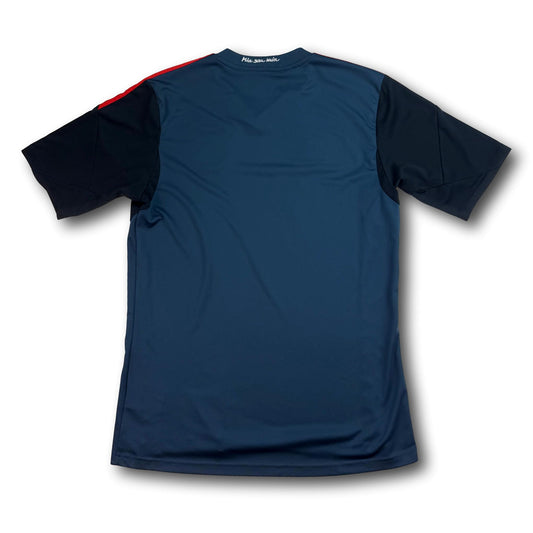 FC Bayern Munich - 2013-14 - Third - 176 - adidas