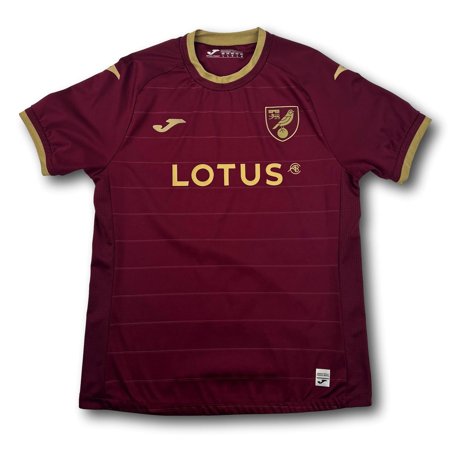 Norwich City - 2022-23 - Extérieur - L - Joma