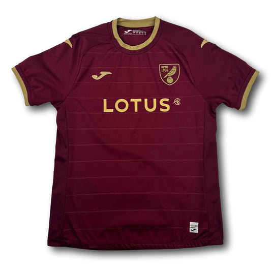 Norwich City - 2022-23 - Extérieur - L - Joma