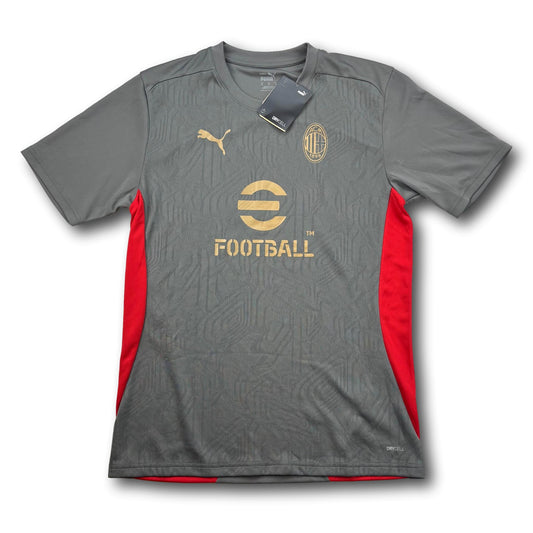 AC Milan - 2024-25 - Entraînement - H - Puma