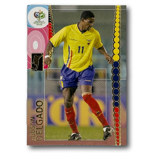 Panini FIFA Coupe du Monde 2006 - Agustin Delgado